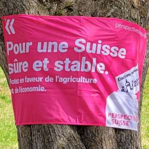 fahne f am baum