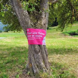 fahne f am baum